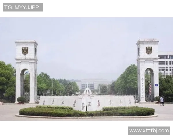 南京羽毛球队总决赛逆袭之旅背后的奋斗与荣耀揭秘