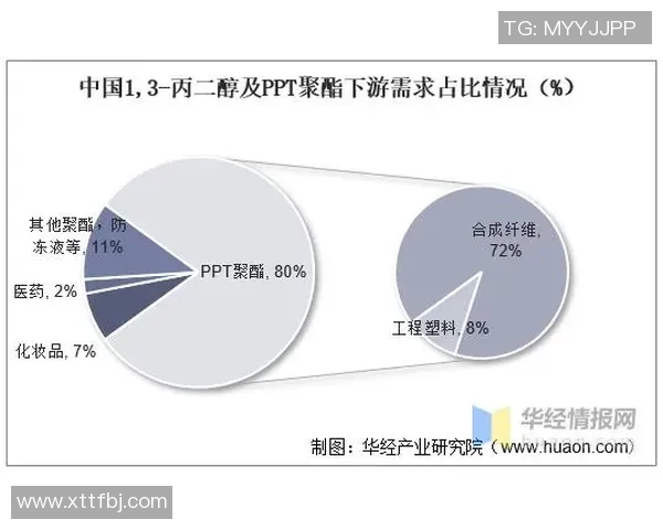 南京篮球队技术分析与战术创新的深度探讨与展望