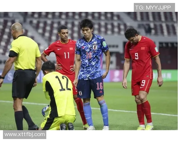 成都网球队状态引发热议球迷与专家各执己见探讨未来发展方向